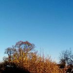 Doreen Morrison - @doreen.dhm10m - Instagram