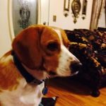 Doreen Morrison - @ddixi101 - Instagram
