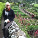 Doreen Morrison - @doreenmorrison63 - Instagram