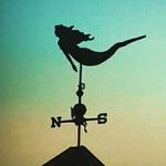 Doreen Murray - @doreenmurray - Instagram