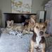 Doreen Nelson - Facebook