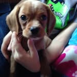 Doreen Nelson - @doreen.1330.nelson - Instagram