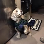 Doreen Nelson - @doreen.nelson19 - Instagram