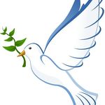 Doreen Olson - @doupliftingwings - Instagram