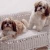 doreenolson127 - @doreenolson127 - TikTok