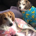 Doreen Patrick Riordan - @dorrizzle - Instagram