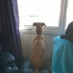 Doreen Perry - @doreen.perry.560 - Instagram