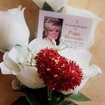 Doreen Perry - @doreenperry1225 - Instagram