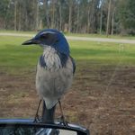 Doreen Ray - @doreenray2020 - Instagram