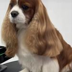 Doreen Robinson - @robinson.doreen - Instagram