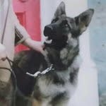 Doreen Roe - @doreenroe - Instagram