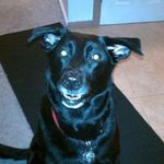 Doreen Romano - @nybear1005 - Instagram