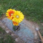 Doreen Romano - @doreen.romano.710 - Instagram