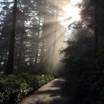 Doreen Sadler - @doreenuke0648 - Instagram