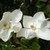Doreen Sadler - Facebook