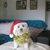 Doreen Sadler - Facebook