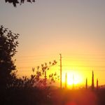 Doreen Keefe Schafer - @doreed49 - Instagram