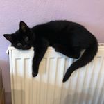 Doreen Schäfer - @rosagummiball - Instagram