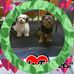 Doreen Schäfer - Facebook