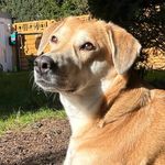 Doreen Severin - @doreen.severin - Instagram