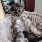 Doreen Schäfer - Facebook