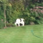 Doreen Simpson - @d_simpson9skycom - Instagram