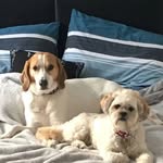 Doreen Simpson - @deesimpson34 - Instagram