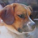 Doreen Smart - @doreen.smart.50 - Instagram