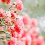 Doreen R. Spence - @doreenr.spence - Instagram