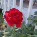 Doreen Stanton - Facebook