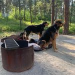 Doreen Stanton - @doreenstanton - Instagram