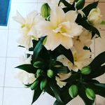 Doreen Swen Steinberg - @doreensteinberg - Instagram