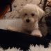 Doreen Stiles - Facebook