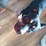 Doreen Lou Strong - @doreenloustrong - Instagram