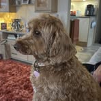 Doreen Sumner - Facebook