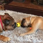 Doreen Sumner - Facebook