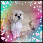 Doreen Sweeney - @doreen.sweeney.52 - Instagram