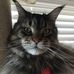 Doreen Sweeney Bradley - Facebook