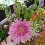 Doreen Sweeney Sanford - @doreenlynn_ - Instagram
