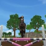 Star Stable Online - @doreen_sweetrider - Instagram