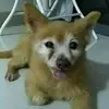 Doreen Teo - @doreen.teo3 - TikTok