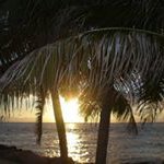 Doreen Tierney - @doreentierney - Instagram