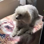 Doreen Welch - @doreenwelch78 - Instagram