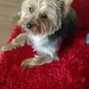 doreenwelsh918 - @doreenwelsh918 - TikTok