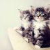 Doreen Westphal - Facebook