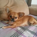 Doreen Westphal - @westphal.doreen - Instagram
