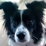 Doreen Whitaker - @doreenwhitaker - Instagram