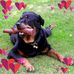 Doreen Woods - Facebook