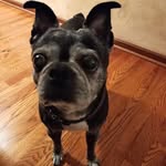 Dorene Brown Shoff - @dorenshoff - Instagram
