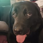 Jordan Doreen Egger - @jordan_doreen - Instagram